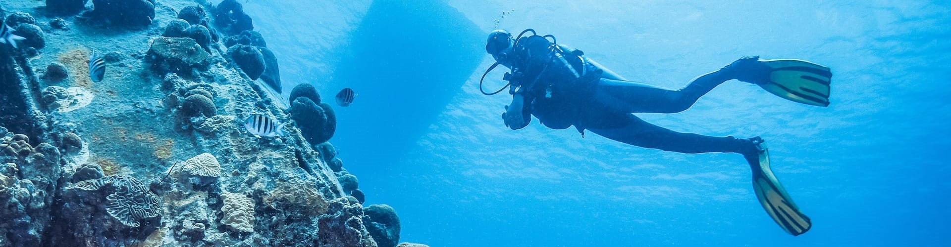 Premium Diving in Hurghada 